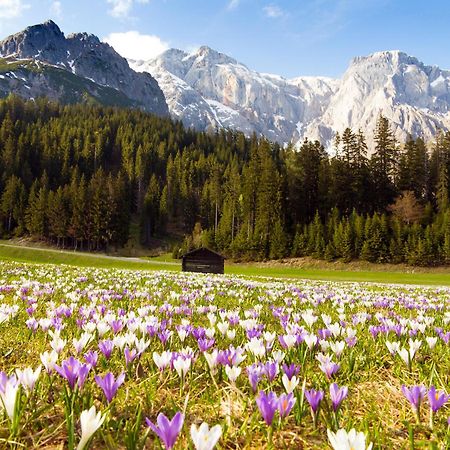 House Of Huetter - Wachtelhof & Spa Maria Alm am Steinernen Meer Zewnętrze zdjęcie
