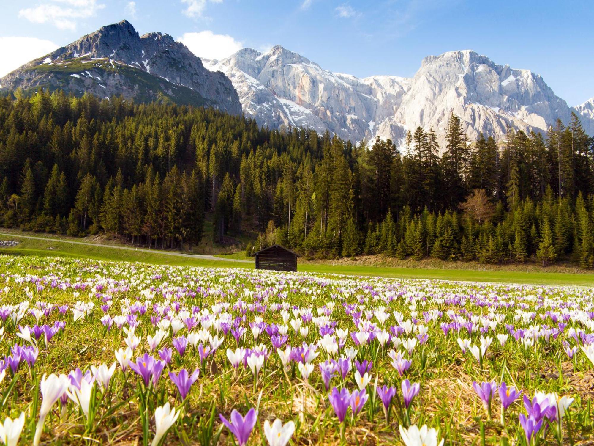 House Of Huetter - Wachtelhof & Spa Maria Alm am Steinernen Meer Zewnętrze zdjęcie